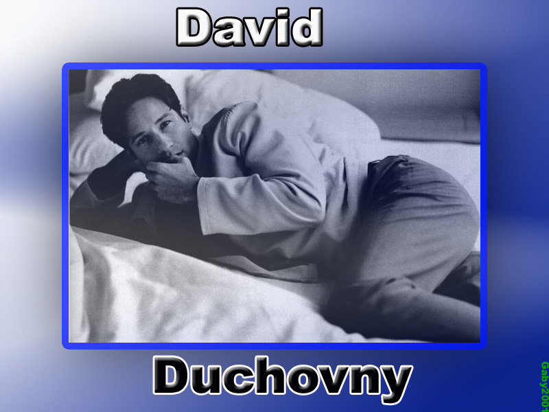 Fonds d'cran Clbrits Homme David Duchovny 