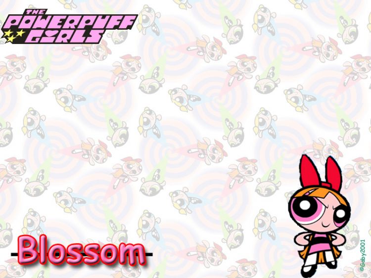 Wallpapers Cartoons The Powerpuff Girls PPG - Blossom