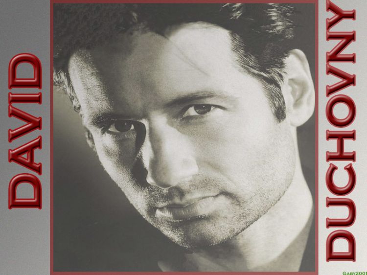 Fonds d'cran Clbrits Homme David Duchovny Wallpaper N22525