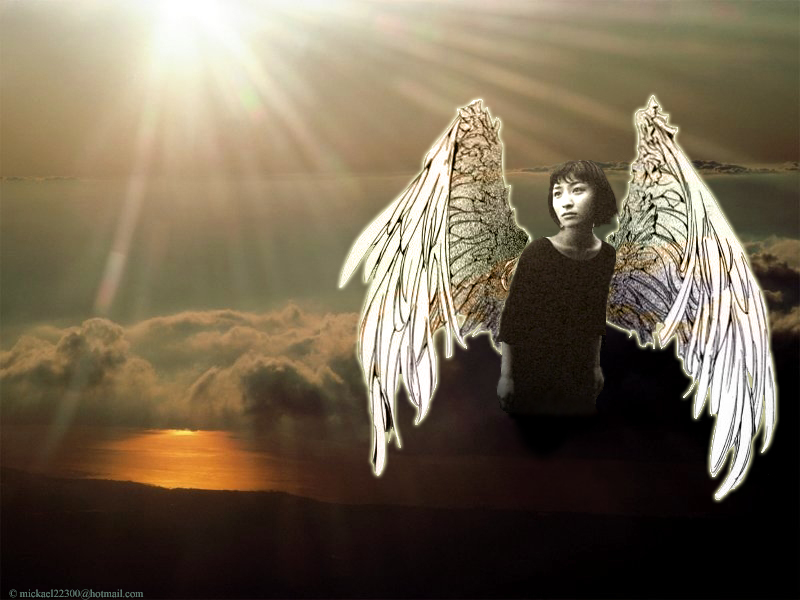 Wallpapers Music Maaya Sakamoto maaya angel