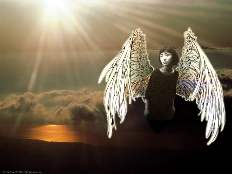 Wallpapers Music Maaya Sakamoto maaya angel