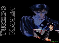 Fonds d'cran Manga tuxedo mask