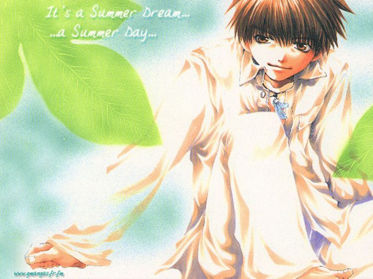 Fonds d'cran Manga Saiyuki Summer Dream