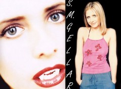 Fonds d'cran Clbrits Femme Sarah M. Gellar