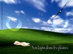 Wallpapers Digital Art Ruthay Bon lapin dans les plaines