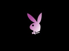 Wallpapers Digital Art playboy rabbit