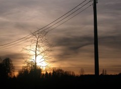 Fonds d'cran Nature Arbre en feux