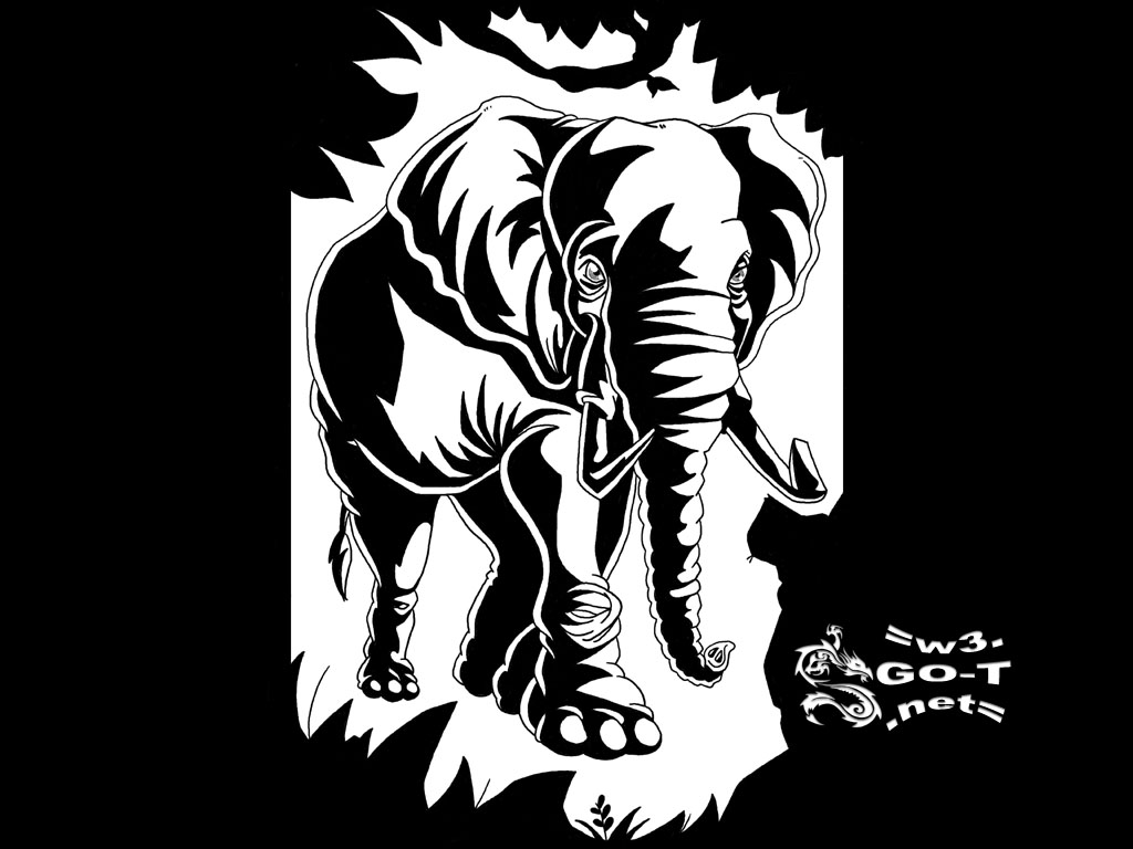 Wallpapers Digital Art Graphic tablet lphant