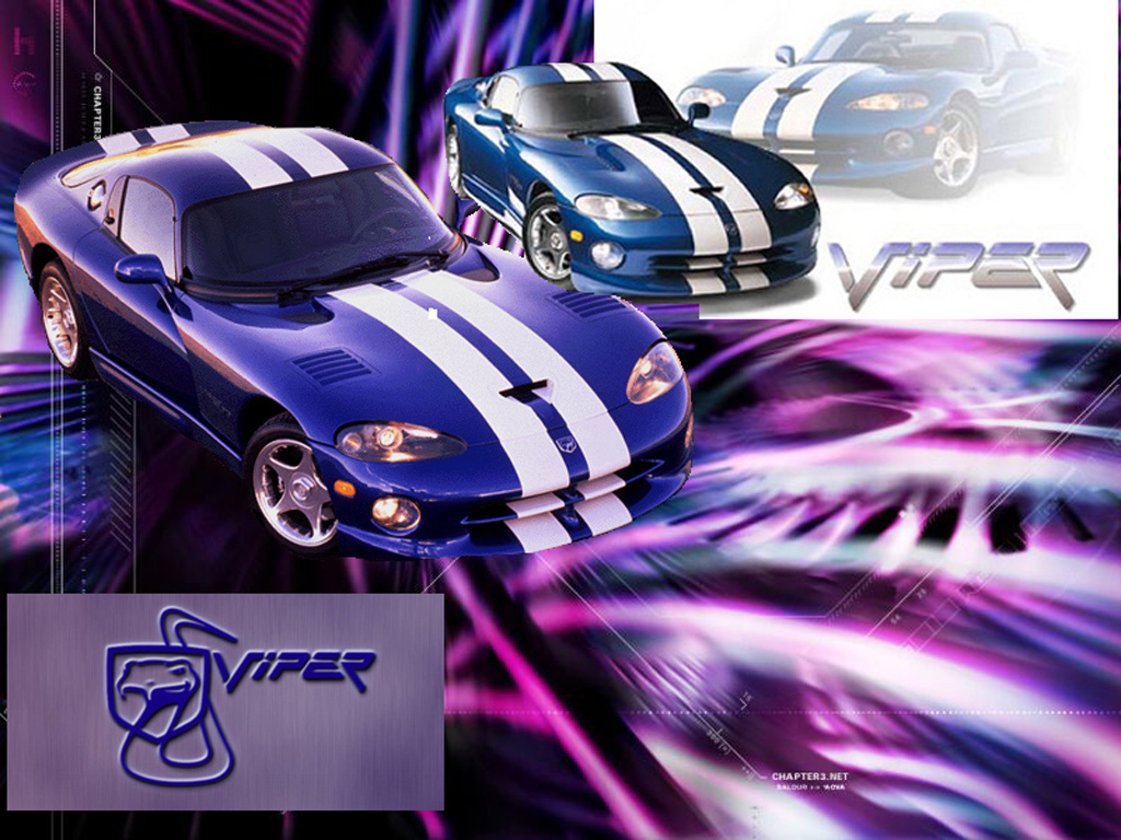 Wallpapers Sports - Leisures Rallye Viper