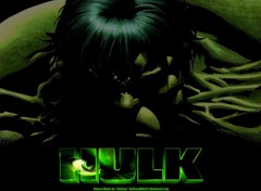 Fonds d'cran Comics et BDs Ruthay Hulk 02