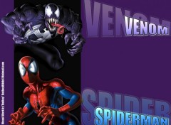 Wallpapers Comics Ruthay Spiderman & Venom 01