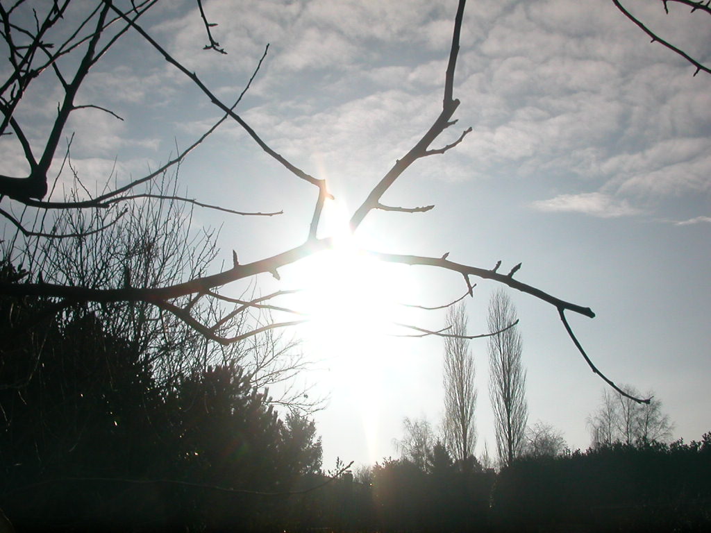 Fonds d'cran Nature Paysages Le soleil dans tte sa fraicheur..