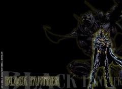 Wallpapers Comics Ruthay Black Panther 01