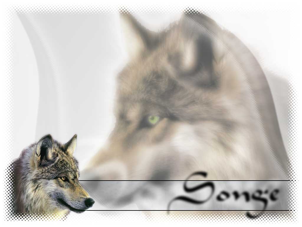 Fonds d'cran Animaux Loups Songe