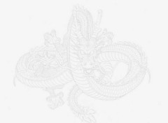 Wallpapers Manga Dragon