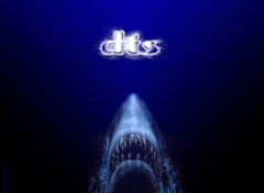 Wallpapers Movies Jaws ( DTS )