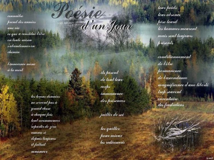 Fonds d'cran Nature Arbres - Forts Posie d'un jour