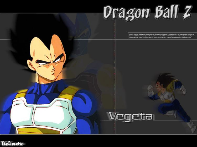 Wallpapers Manga Dragon Ball Z Vegeta