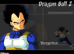 Fonds d'cran Manga Vegeta