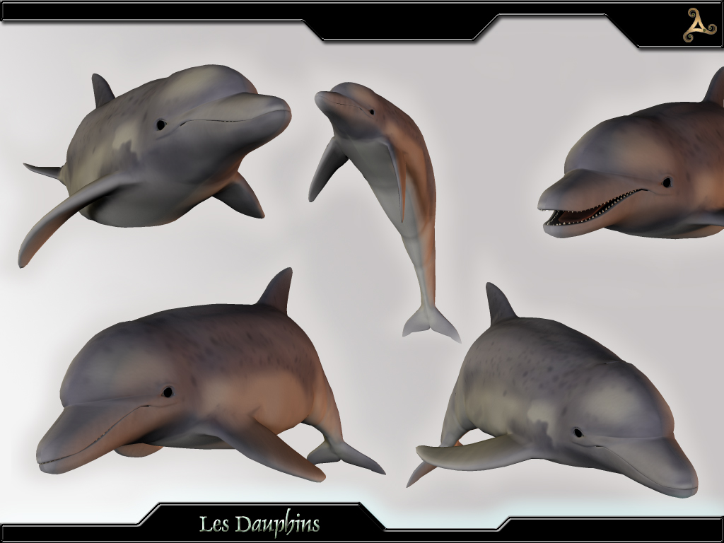 Fonds d'cran Art - Numrique Animaux Les Dauphins