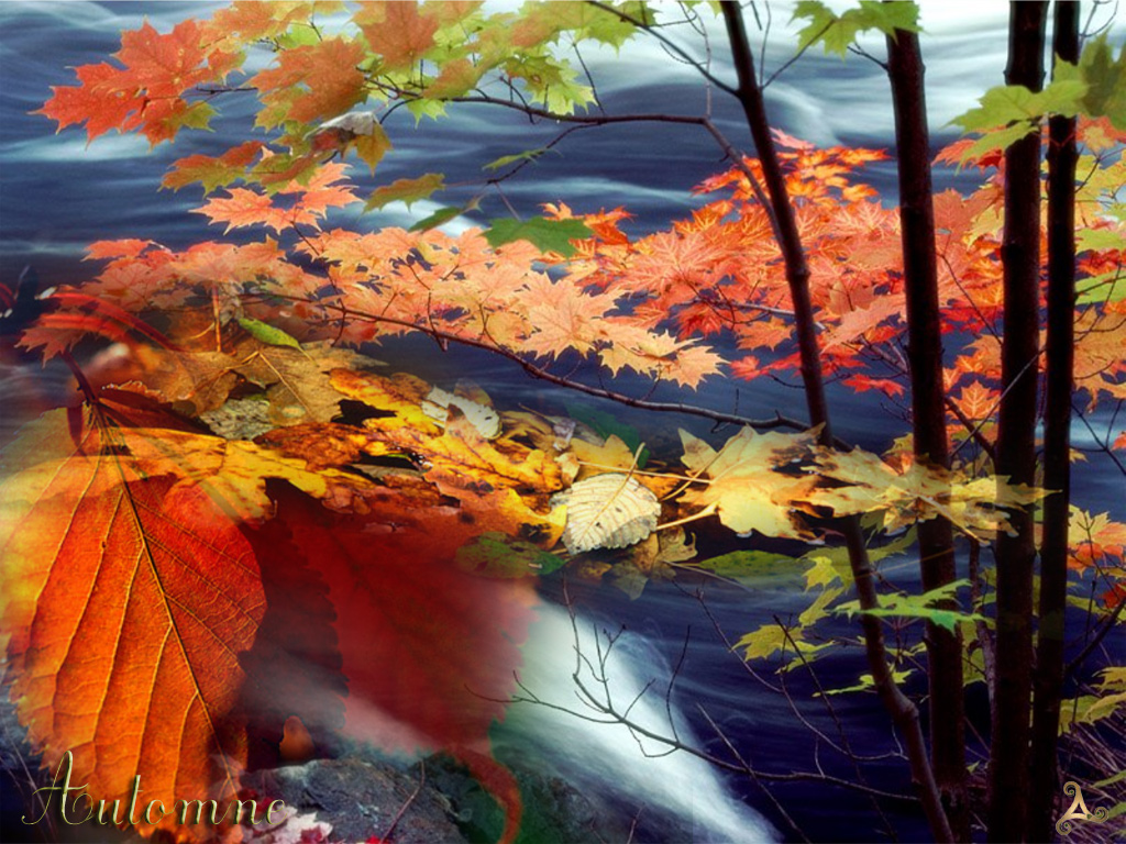 Wallpapers Digital Art Nature - 4 Seasons Automne