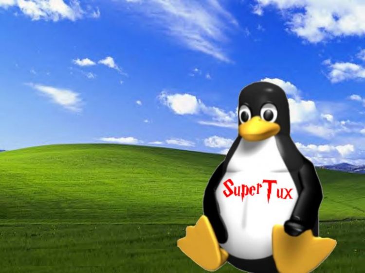 Fonds d'cran Informatique Linux supertux