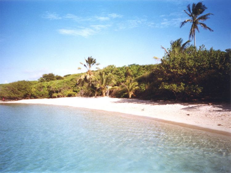 Fonds d'cran Nature Mers - Ocans - Plages Plage de l'Ilet Chevalier