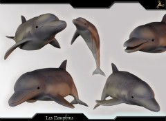 Fonds d'cran Art - Numrique Les Dauphins