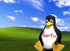 Fonds d'cran Informatique supertux