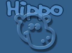 Fonds d'cran Animaux Hippo!