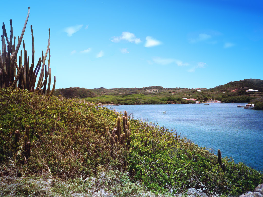 Fonds d'cran Nature Mers - Ocans - Plages Une Martinique Paradisiaque