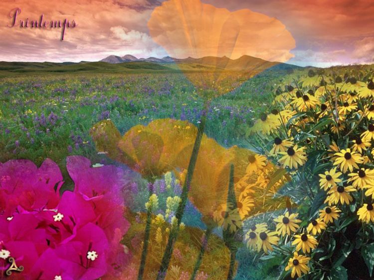 Wallpapers Digital Art Nature - 4 Seasons Printemps