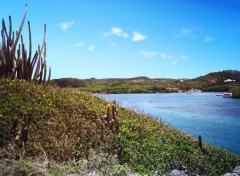 Fonds d'cran Nature Une Martinique Paradisiaque