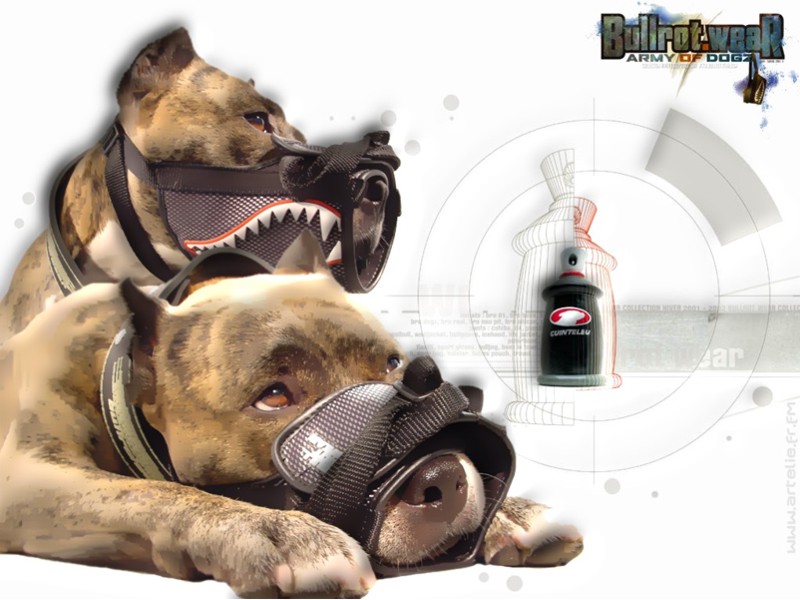 Fonds d'cran Grandes marques et publicit Bullrot Wear bullrotwaer by elie's touch