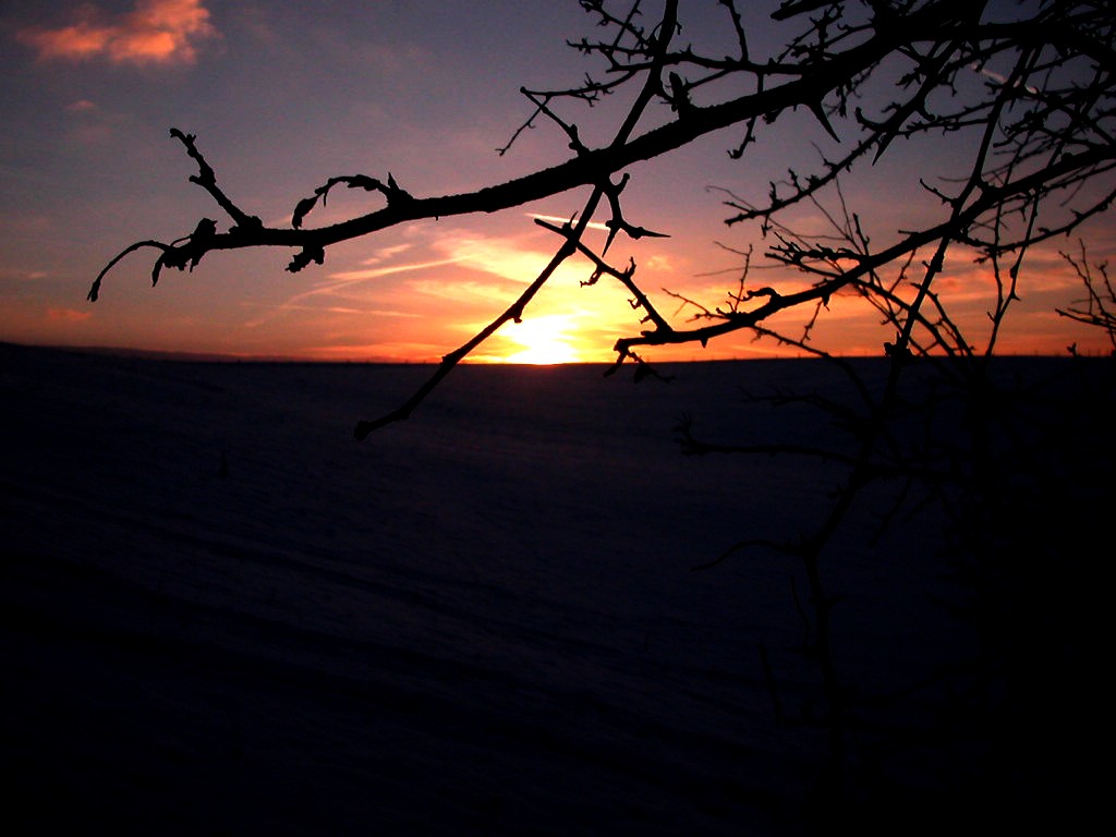 Fonds d'cran Nature Couchers et levers de Soleil Crpuscule dans la neige