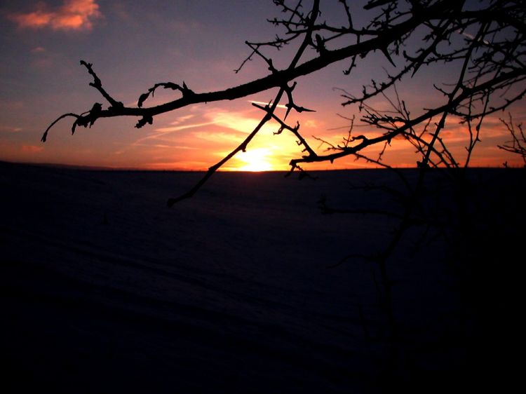 Fonds d'cran Nature Couchers et levers de Soleil Crpuscule dans la neige