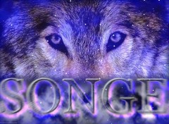 Wallpapers Animals Loup Des Songes