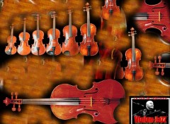 Wallpapers Music Fond-violons