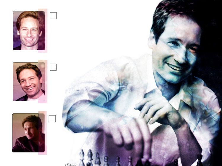 Fonds d'cran Sries TV X-Files : aux Frontires du rel David Duchovny