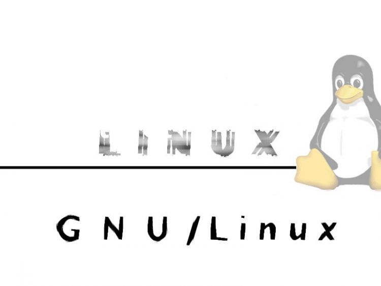 Fonds d'cran Informatique Linux GNU/Linux