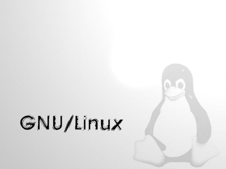 Fonds d'cran Informatique Linux freee sofware