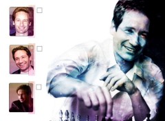 Fonds d'cran Sries TV David Duchovny