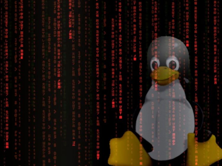 Fonds d'cran Informatique Linux KernelTux