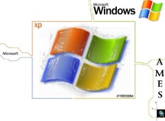 Fonds d'cran Informatique Win XP Pro