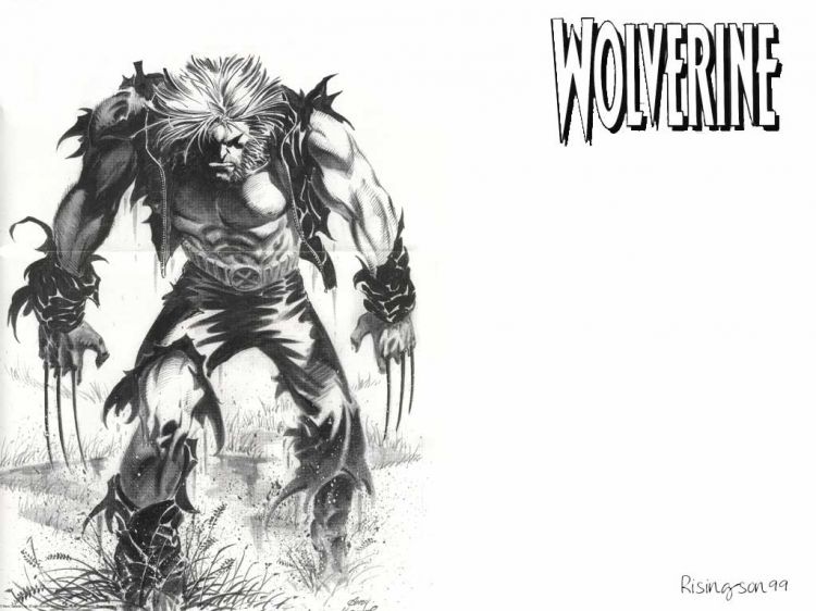 Fonds d'cran Comics et BDs Wolverine Wolverine black&white