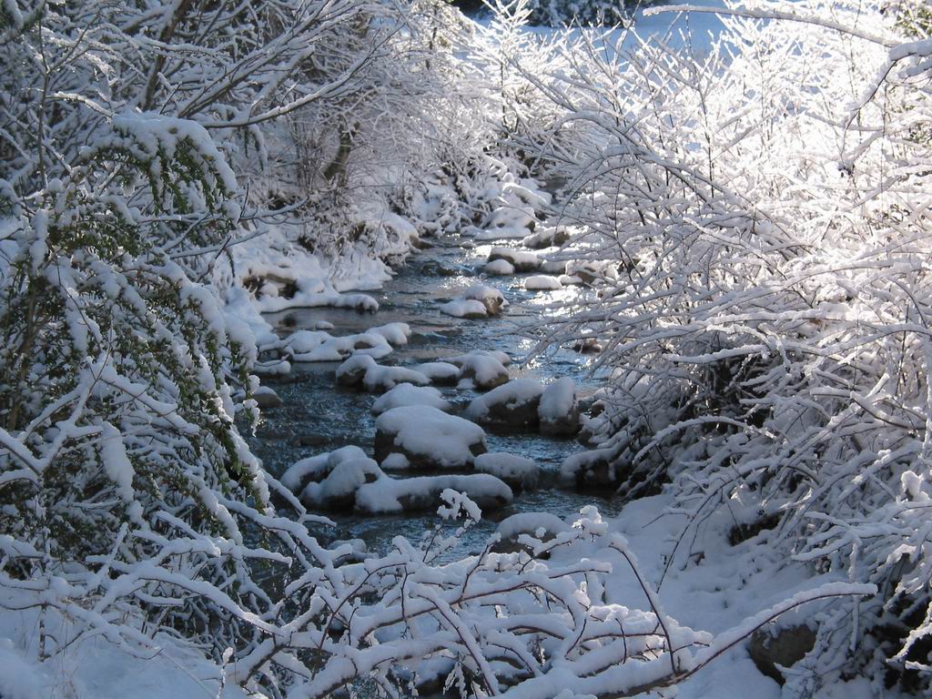 Fonds d'cran Nature Saisons - Hiver Neige1