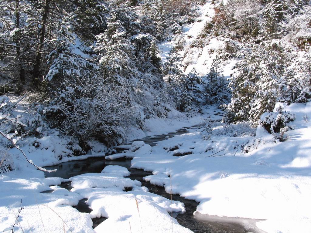 Fonds d'cran Nature Saisons - Hiver Neige3