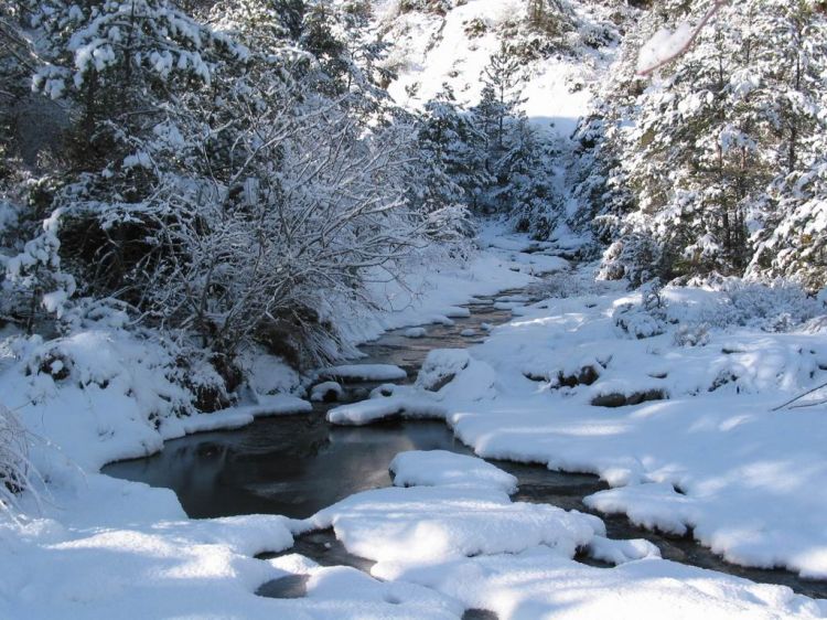 Fonds d'cran Nature Saisons - Hiver Neige2