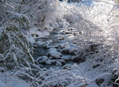 Fonds d'cran Nature Neige1