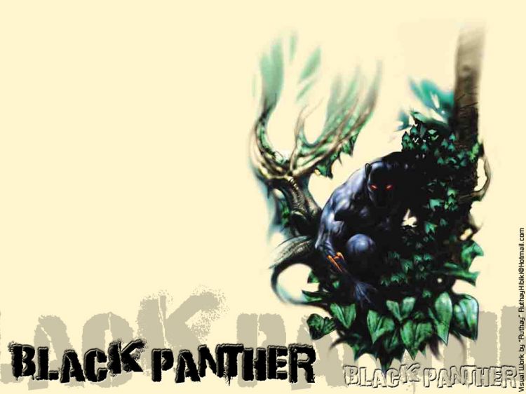 Fonds d'cran Comics et BDs Black Panther Ruthay Black Panther 02